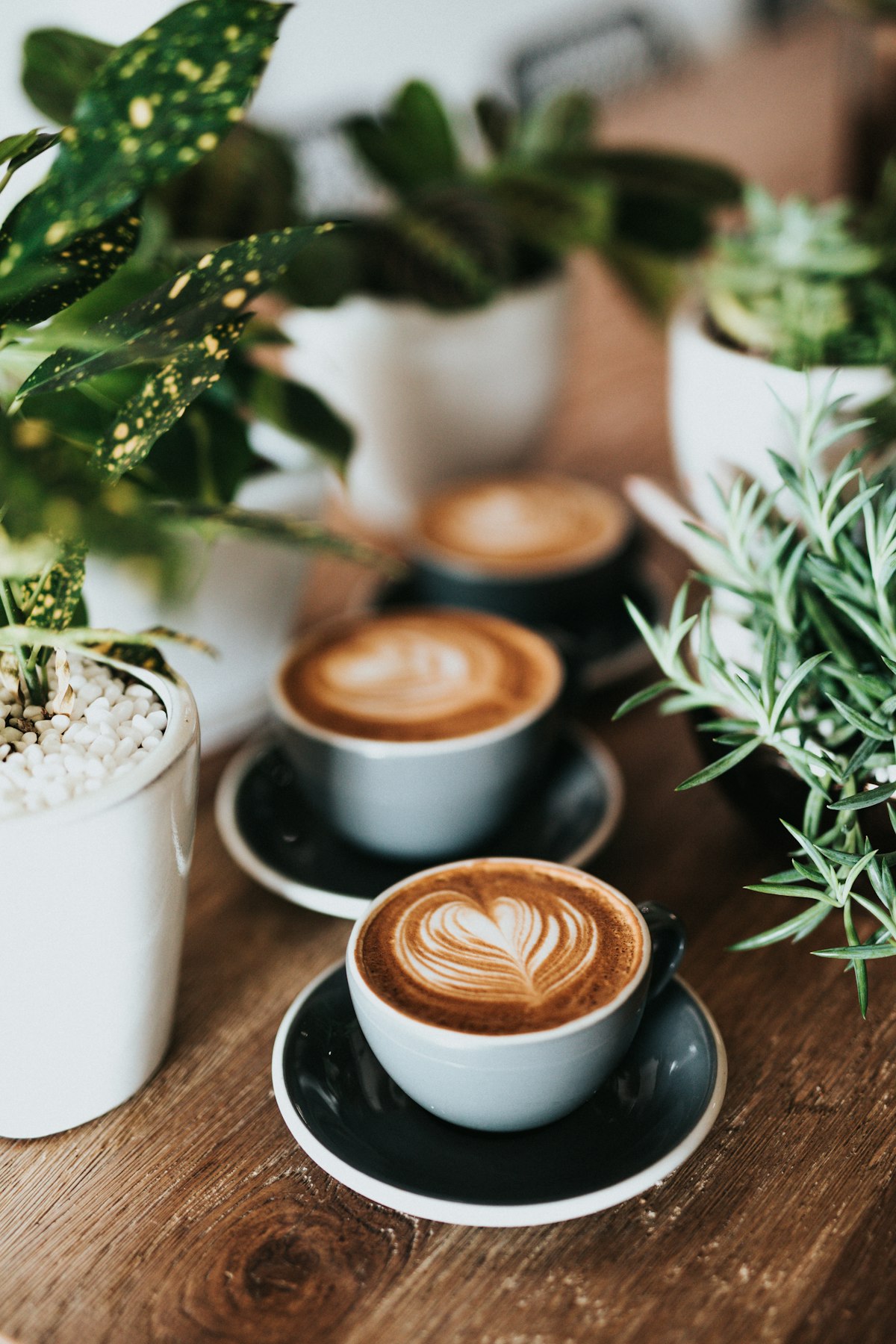 Barista preparing coffee at a bright café counter